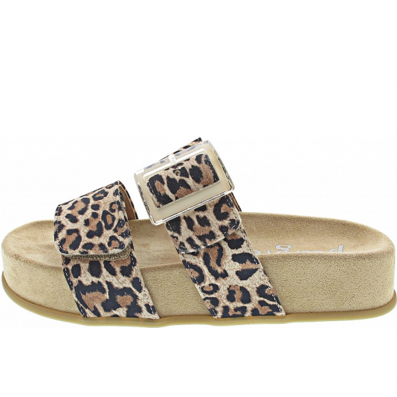 New Arrivals Paul Green Women's Clog in Leopardino Desert