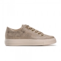 Paul Green Women's Dixie Sneaker Shell Metallic Canvas Paul Green Women's Dixie Sneaker Shell Metallic Canvas
