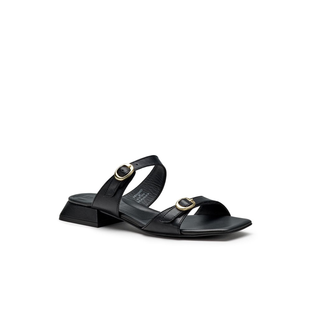 Paul Green Women's Denice Slide Black Nappa